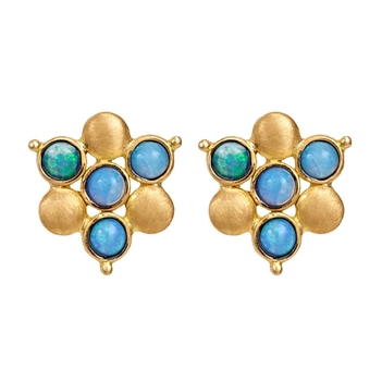 Exotic Opal and 18K Gold Stud Earrings